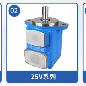 Hydraulic Vane Pump - HY-PW-06 injection molding machine spare part